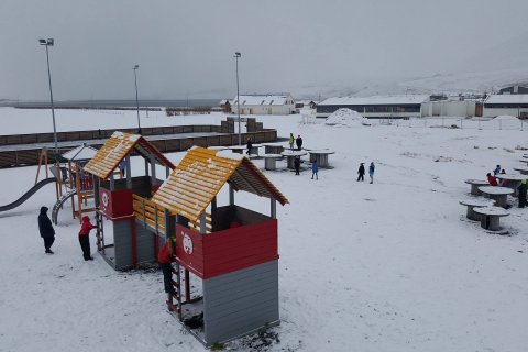 Dagur íslenskrar tungu